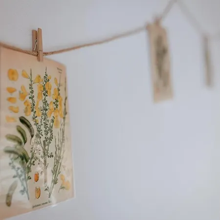 La Lar * Отеро-де-Бодас